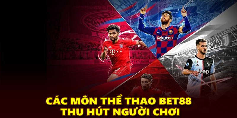 Các môn thể thao Bet88 thu hút người chơi